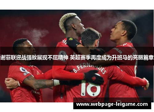 谢菲联迎战强敌展现不屈精神 英超赛季再度成为升班马的亮丽篇章