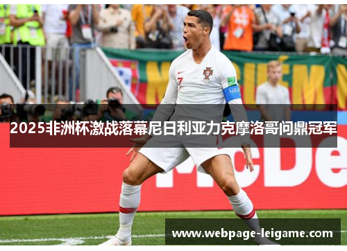 2025非洲杯激战落幕尼日利亚力克摩洛哥问鼎冠军